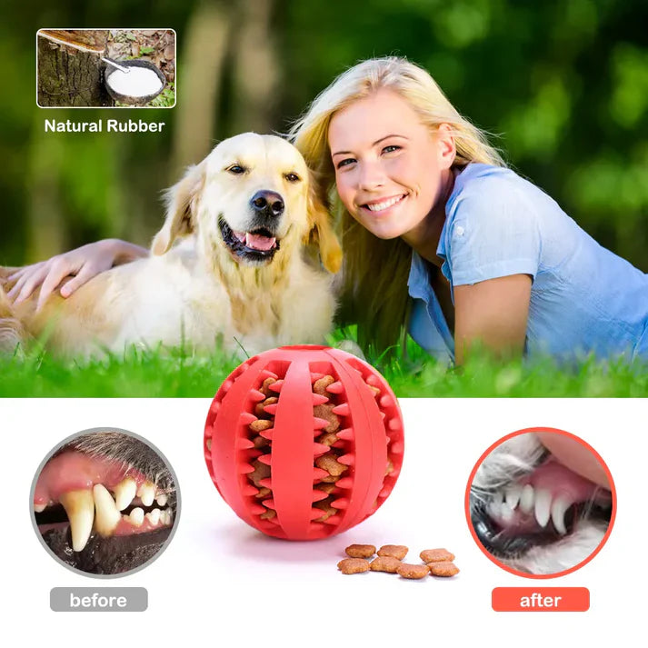 Interactive Tooth Cleaning Ball: Indestructible Dog Food Ball