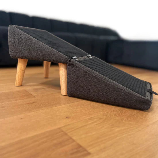 Most popular dog ramp + footstool