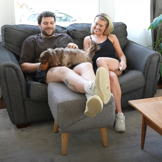 Most popular dog ramp + footstool