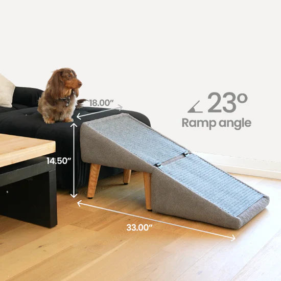 Most popular dog ramp + footstool