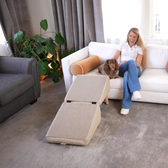 Most popular dog ramp + footstool