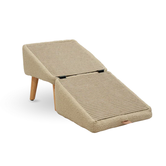 Most popular dog ramp + footstool